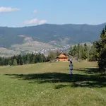 Na Jagodowym Wzgorzu