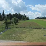 Na Jagodowym Wzgorzu *