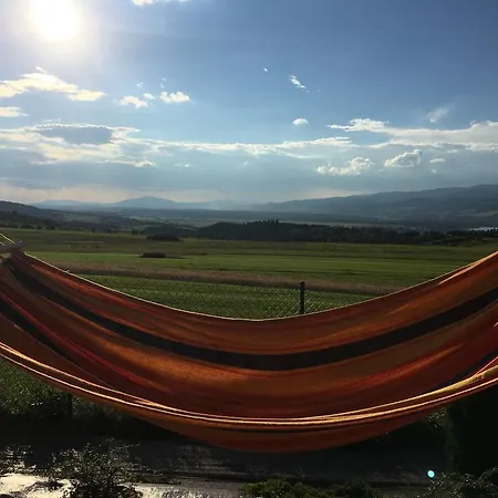 Na Jagodowym Wzgorzu Ferienhaus *