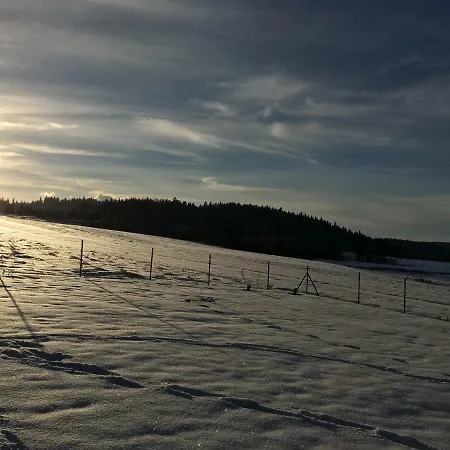Na Jagodowym Wzgorzu * Falsztyn