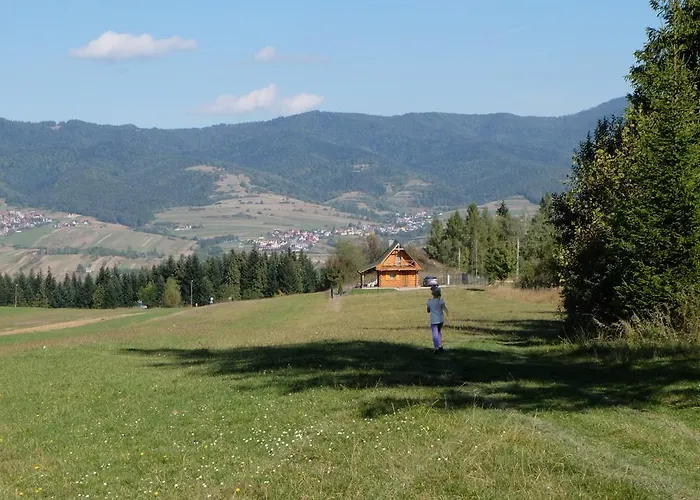 Na Jagodowym Wzgorzu