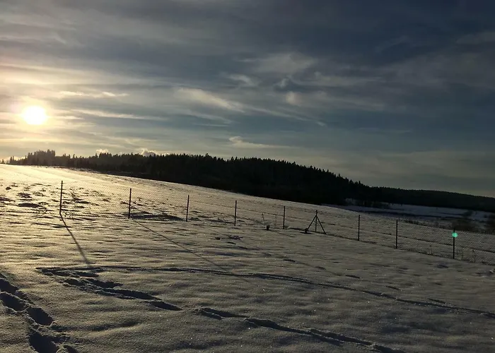 Na Jagodowym Wzgorzu * Falsztyn